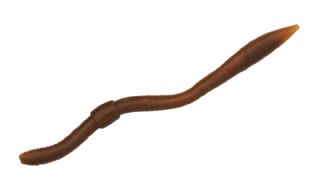 Spro Freestyle Twitch Worm 10.6cm - 